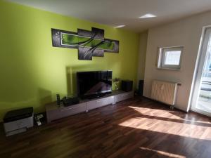 a living room with a flat screen tv on a green wall at Traumreise mit Balkon zentral in Friedrichshafen