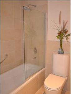 ein Bad mit einer Dusche und einem WC mit einer Pflanze in der Unterkunft Hotel Finca Hermitage in Mendoza + 18 Fotos