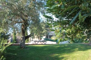 a hammock in a park with a tree and grass at Quinta de São João in Poios