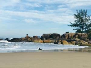 a bird standing on a beach with elephants in the water at Residencial Quinta dos Açores in Garopaba