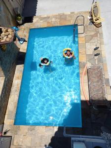 zwei Personen schwimmen in einem Pool in der Unterkunft Pousada do Nei in Cabo Frio