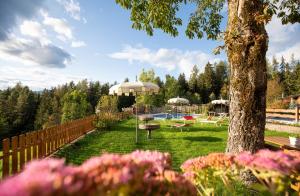 a yard with a swimming pool and a tree at Hotel Profanter in Siusi