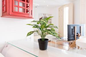A seating area at Urbe10 Plaza de la Constitucion 1 Bedroom Apartment