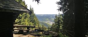 drewniana ławka siedząca na szczycie góry w obiekcie Ferienwohnung Klaus im Tal der Steinach w mieście Steinach