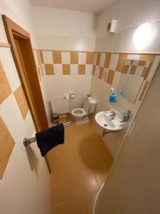 Koupelna v ubytování Hotel Zlatý Chlum