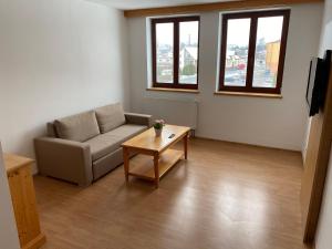 TV a/nebo společenská místnost v ubytování Hotel Zlatý Chlum