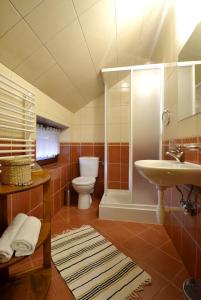 La salle de bains est pourvue de toilettes, d'une douche et d'un lavabo. dans l'établissement Michałowa Chata, à Poronin