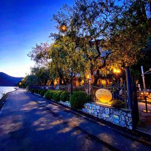 蒙泰伊索拉的住宿－蒙泰伊索拉森林酒店，一条树木繁茂的街道和灯光围栏