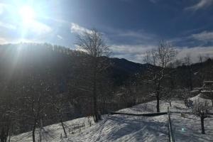 Príroda v okolí apartmánu
