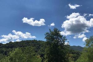 Príroda v okolí apartmánu