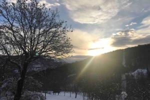Príroda v okolí apartmánu