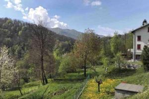 Príroda v okolí apartmánu