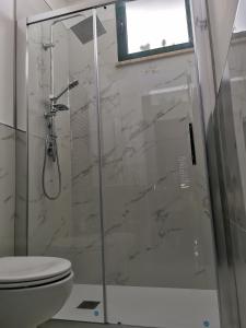 een badkamer met een glazen douche en een toilet bij Il Gabbiano casa al mare in Bisceglie