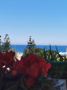 eine Vase von Blumen mit dem Ozean im Hintergrund in der Unterkunft Il Gabbiano casa al mare in Bisceglie