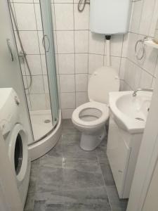 a bathroom with a toilet and a sink and a shower at Apartment Florian in Rijeka
