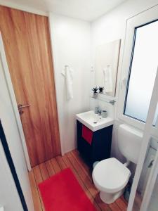 a bathroom with a toilet and a sink and a mirror at Mobile Home MORE Porton Nature Hideouts in Rovinj