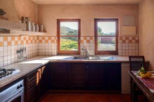 kuchnia ze zlewem i 2 oknami w obiekcie Can Olivo - Villa 6 pax en Ibiza w mieście Ibiza