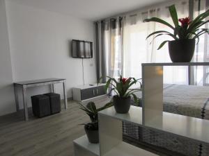 a bedroom with a bed and potted plants on the wall at GARRUCHA HOME AND BEACH in Garrucha