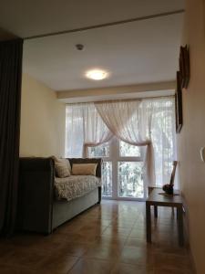 sala de estar con sofá y ventana grande en Family-friendly 2 rooms apartment with view to a forest, en Juodkrantė