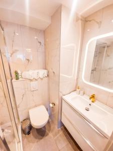 a bathroom with a toilet and a sink and a shower at Goodtime Apartments Strasbourg in Strasbourg