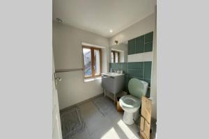 a bathroom with a toilet and a sink at La mystérieuse maison du Robimouth in Saint-Satur