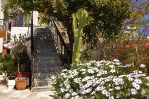 A garden outside Traditional Stone house