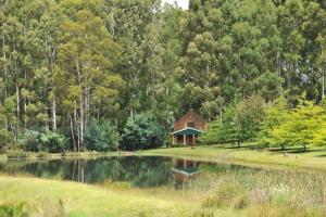 a house on the side of a lake with trees at Dunkeld Country & Equestrian Estate in Dullstroom