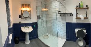 Seven Stars Boutique Guesthouse في إكسيتير: حمام مع مرحاض ومغسلة ودش