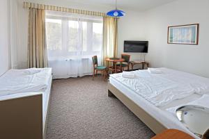 ein Hotelzimmer mit einem Bett, einem Tisch und Stühlen in der Unterkunft Hotel Laguna Slapy in Netvořice