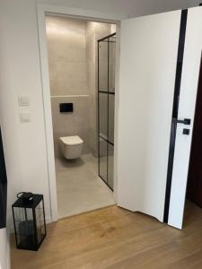 Kúpeľňa v ubytovaní APARTAMENT NAD MOTŁAWĄ Z WIDOKIEM