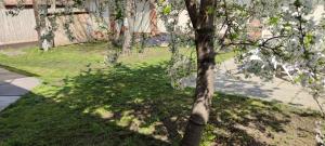A garden outside Orsi Apartman / vendegház