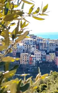 a view of a city from behind a tree at Arbanella in Corniglia