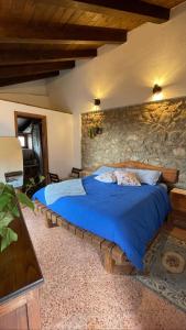 ein Schlafzimmer mit einem Bett in einer Steinmauer in der Unterkunft Paolino848 in Trentinara