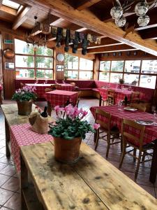 En restaurang eller annat matställe på Hotel Flora Alpina