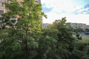 um grupo de árvores em frente a um edifício em Квартира для 4-х с двумя санузлами и балконом для курения em Kiev