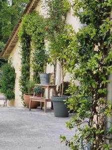 a group of potted plants sitting next to a building at chambre saint emilion - Le Clos d'Antan in Les Artigues-de-Lussac