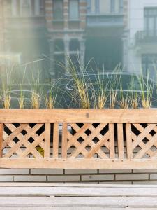 a wooden bench in front of a fence with plants growing out of it at Prado Next Door in Ostend