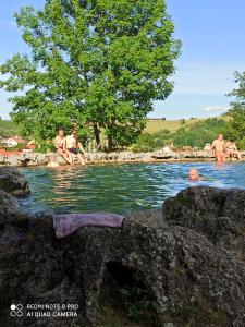un grupo de personas nadando en un cuerpo de agua en Chata Koliba en Stará Ľubovňa