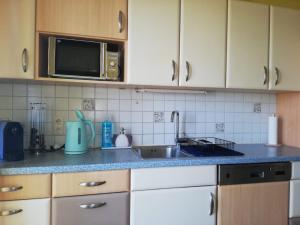 Kuchyň nebo kuchyňský kout v ubytování Apartment Graz Lustbuhel