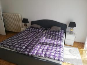 Кровать или кровати в номере Apartment Graz Lustbuhel