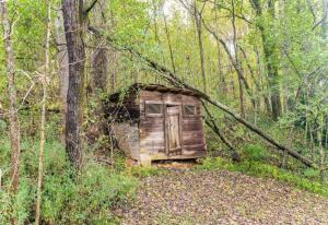 Apple Valley Cabin