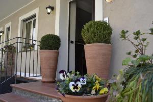 Zahrada ubytování Hotel Marabel