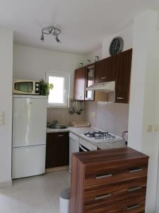 Kuchyň nebo kuchyňský kout v ubytování Apartment and room Gušćić