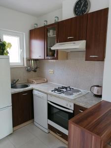 Kuchyň nebo kuchyňský kout v ubytování Apartment and room Gušćić