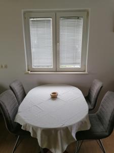 Posezení v ubytování Apartment and room Gušćić