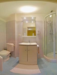 維勒居西安萊拉克的住宿－瑞雷杜拉克酒店，浴室配有卫生间、盥洗盆和淋浴。