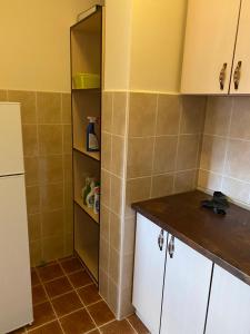Η κουζίνα ή μικρή κουζίνα στο Apartman centar