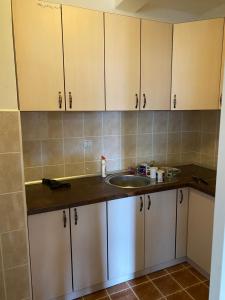 Η κουζίνα ή μικρή κουζίνα στο Apartman centar