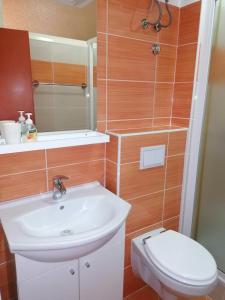Koupelna v ubytování Apartment and room Gušćić + 29 fotografií
