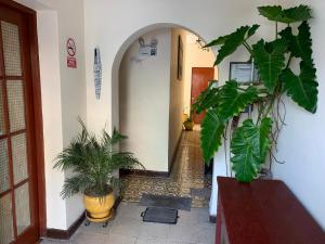 een hal met twee potplanten in een gebouw bij La Chocita Ward in Lima